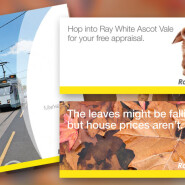 Ray White Brochure & Advertising