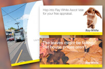 Ray White Brochure & Advertising